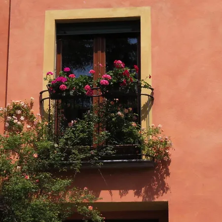 La Casa Dei Cedri Vigolzone
